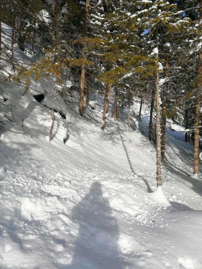 Hotel Garni Alpendiamant Fiss Esterno foto